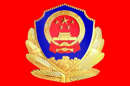 你好,警察节丨关于中国人民警察节,你应该知道的事