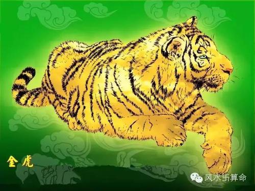 5月5号,属虎的必有一喜,请为属虎的转一下!