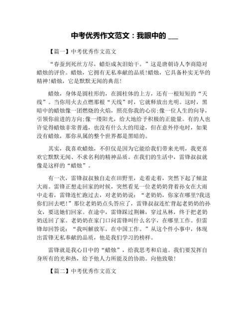 中考优秀作文范文我眼中的