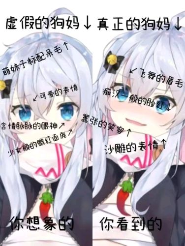 狗妈表情包【五】