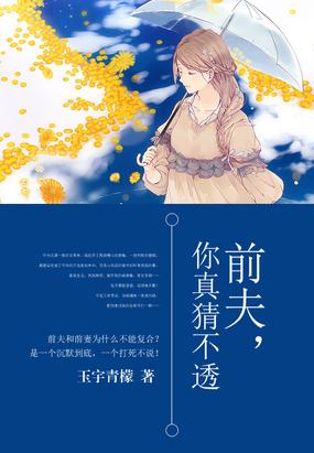 前夫,你真猜不透