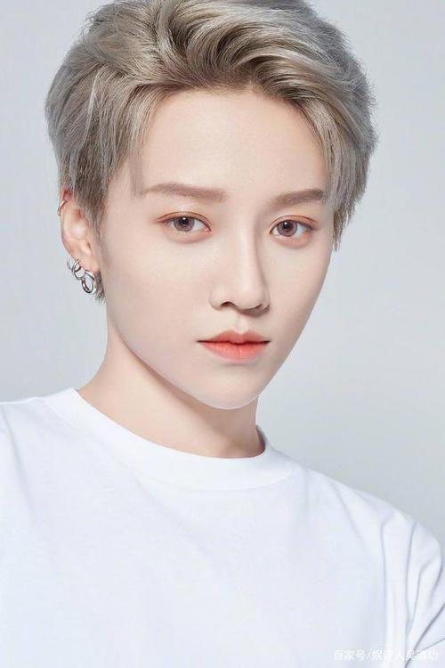 媒体评华语乐坛女歌手段位韩红和李宇春落榜刘雨昕上榜