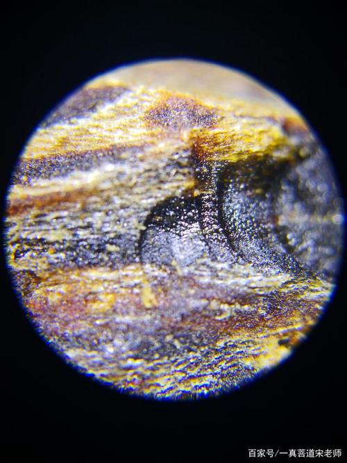 50倍显微镜下沉香的纹理 举报/反馈