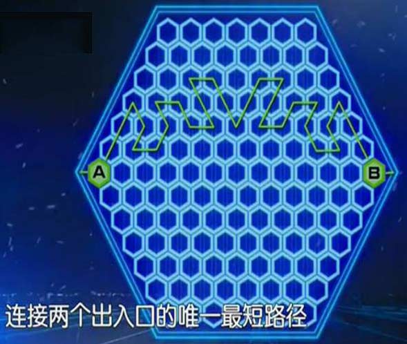 蜂巢迷宫玩法介绍,蜂巢迷宫道具出租,蜂巢迷宫注意事项