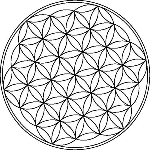 carlotheman生命之花的象征艺术剪辑