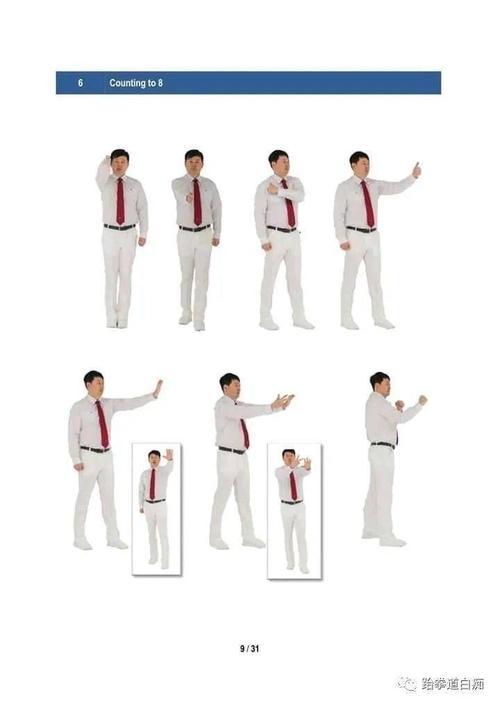 wt跆拳道竞技裁判手势图集,请收藏好这份干货!