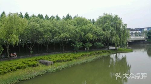 河滨公园南自行车租赁点图片 - 第34张