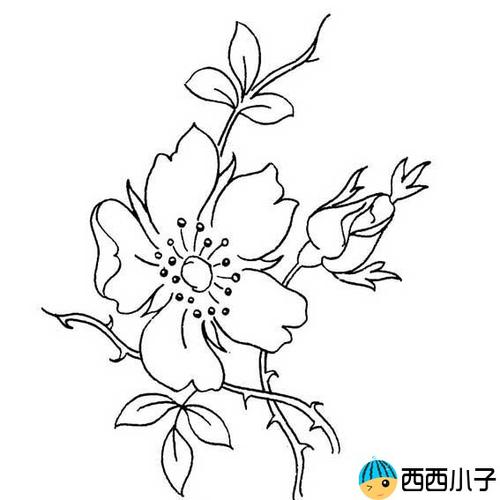 花的图片简笔画