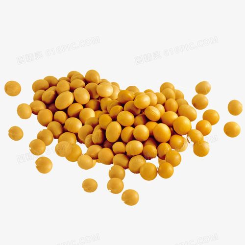 黄豆图片图片免费下载_png素材_编号13girx9qz_图精灵