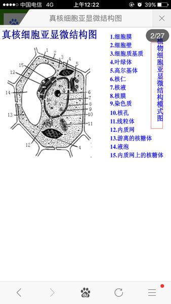 简述真核细胞的显微结构和超微结构.