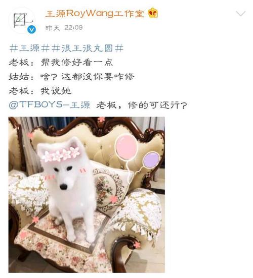 工作室把王源的萨摩耶修成小公主粉丝一边喜欢一边给她取新绰号