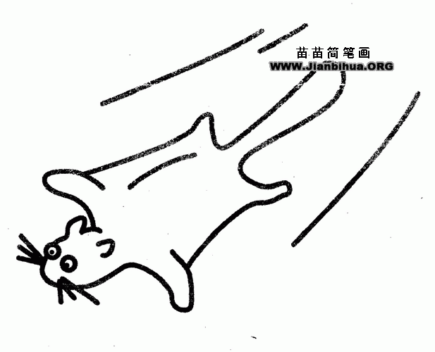 鼯鼠简笔画图片教程
