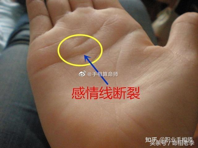 感情线呈羽毛状延伸至无名指中线而断裂分开,一直分支性的延伸,夫妻
