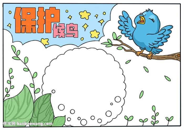保护候鸟手抄报