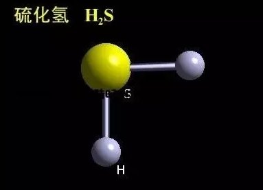 硫化氢通常是在贫氮环境下在发酵过程中产生的一种物质.
