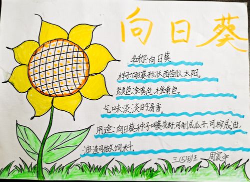 "我的植物朋友"记录卡