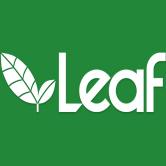 leaf 0 收藏ta