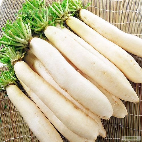  /p> p>萝卜根作蔬菜食用;种子,鲜根,枯根,叶皆入药,种子消食化痰,鲜
