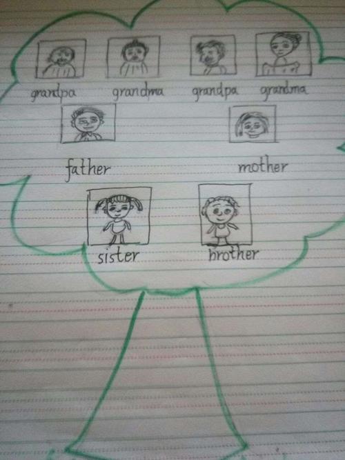 3下英语家庭树作业展