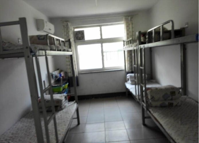 郑中国际学校全面解读