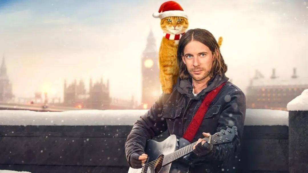 2021电影流浪猫鲍勃2在线完整观看免费加长版1080p清晰熟肉资源已完结