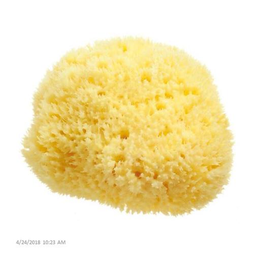 china bath sea sponge