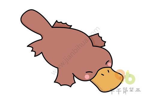 鸭嘴兽简笔画步骤图图片