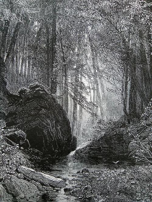 1887年木刻版画《山谷小溪》(the valley brook)---30.5*23.