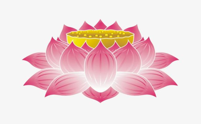 佛教莲花座矢量