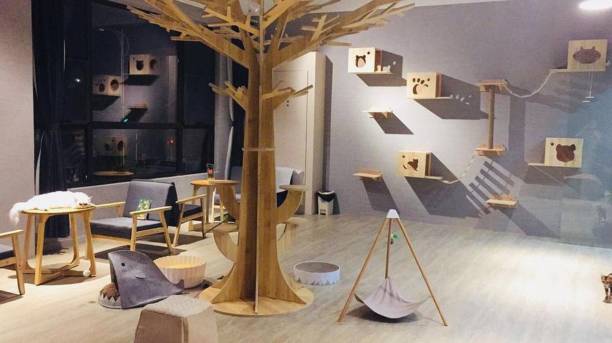 啊罗哈～这里是aha moca猫咖 浦东张江店!