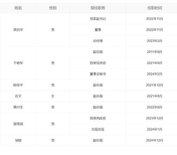 共7人,除了龚启华,五位副总裁分别是于晓军,陈桂平,谷文,黄付生,邹煜