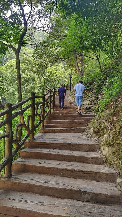 到梅州清凉山郊野公园赏花海长廊观儿童戏水品尝客家特色小吃