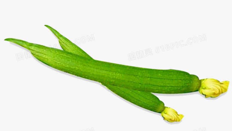 蔬菜图案蔬菜卡通食物手绘蔬菜食物剪影丝瓜绿色营养