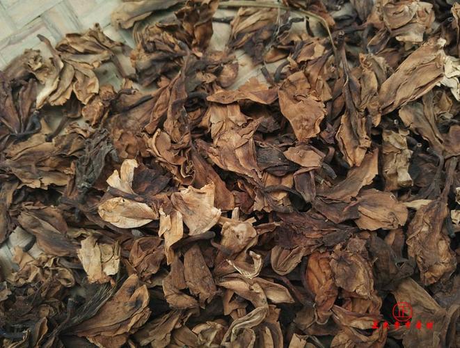 鸡蛋花 统 越南 印尼 _中药材诚实通
