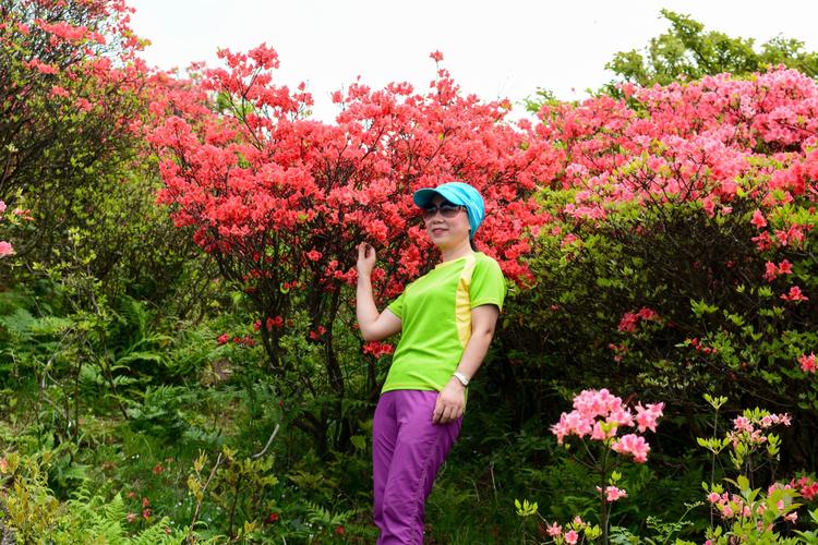 20170507大雷山杜鹃花之旅