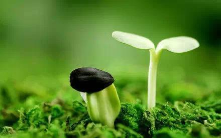 人生,总会有不期而遇的温暖,和生生不息的希望.