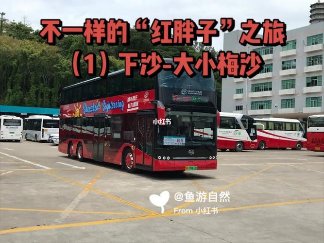 不一样的深圳观光巴士"红胖子"之旅(1)_海滨_游玩_沙头角_大梅沙_莲塘