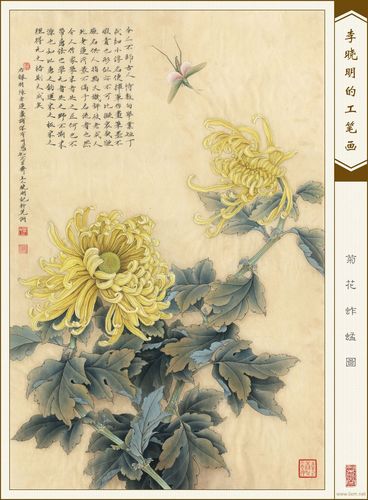 《菊花蚱蜢图》,单击查看高清晰图片.