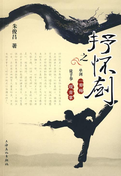 抒怀剑之一剪梅观音掌附送dvd光盘