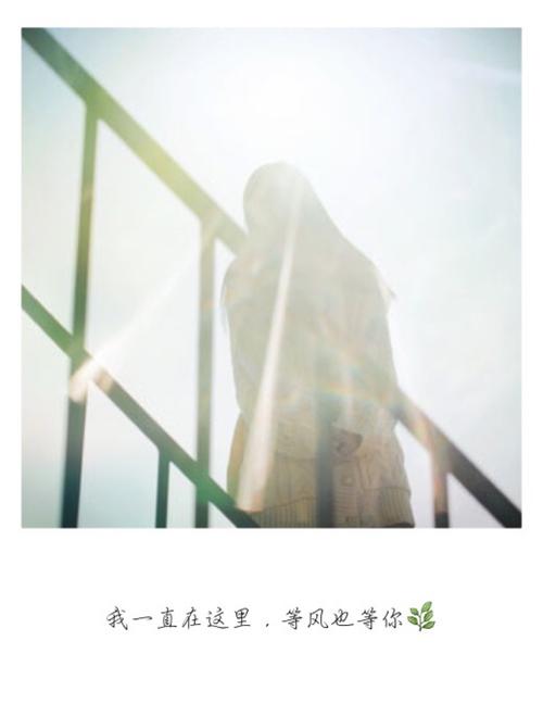 我一直在的图片