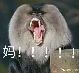 动物喊妈系列表情包【最全完整版】