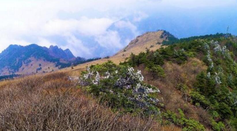 秦岭高山草甸一日登山线路攻略