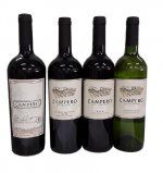 智利红白酒 (chilean wine)