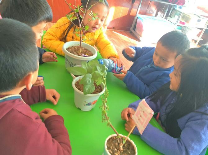 高密第一实验幼儿园 大五班 《小小园艺师》