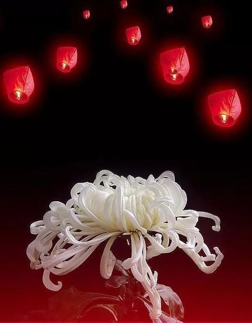 寒衣节:为天堂的妈妈,送上思念,点燃一盏心灯