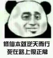 随波逐流表情包 【修仙本就逆天而行 死在路上很正常】