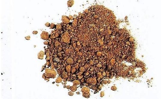 麝香是什么?来看看你了解多少