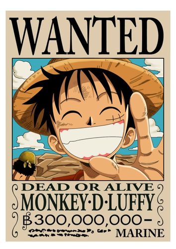 路飞的通缉令