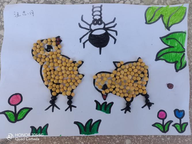 苗苗幼儿园大大班手工《豆子粘贴画》