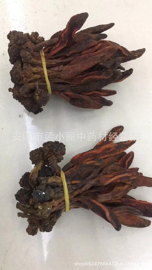 中药材 回春草 顶天柱 不老草 草苁蓉 蟛蜞菊 泡酒料